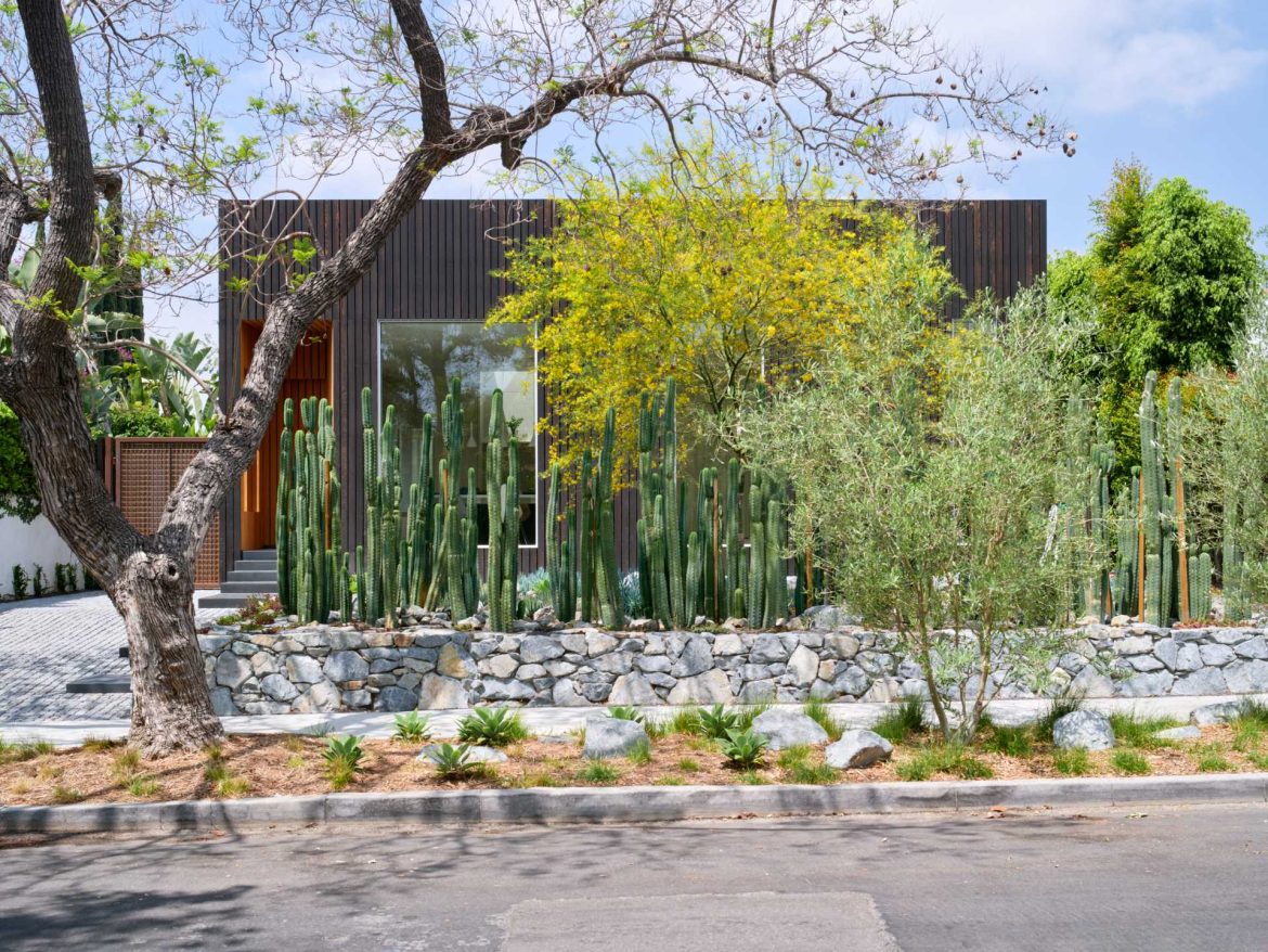 modern-house-cacti-garden-130522-1202-01.jpg