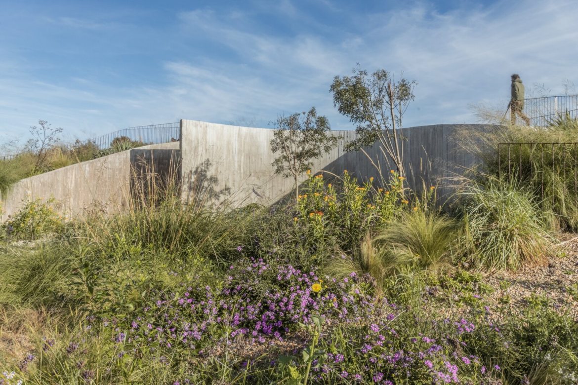 nature-meets-the-house-where-its-at.jpg