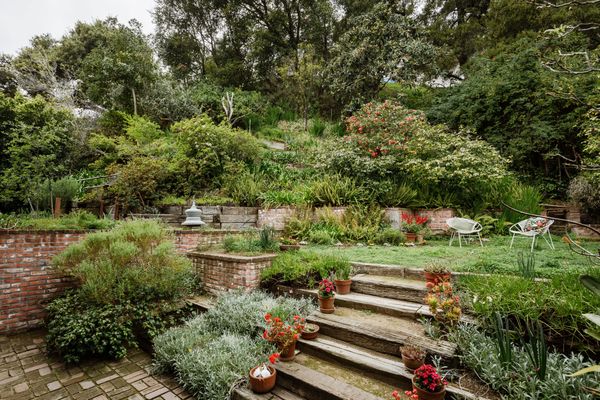 The garden is still home to some of the Wisteria, Camelias, and Magnolias that the previous owner planted before the house had even finished construction.