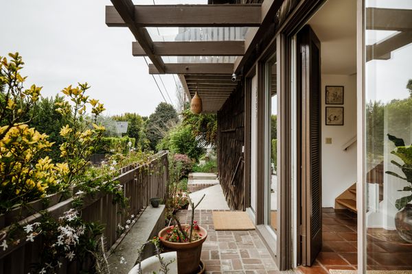 The garden is still home to some of the Wisteria, Camelias, and Magnolias that the previous owner planted before the house had even finished construction.